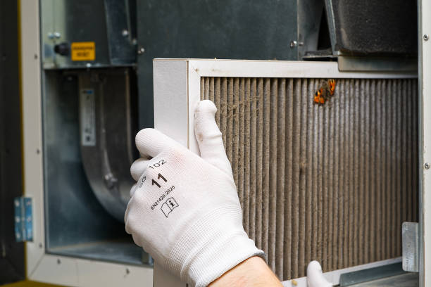 Air Duct Mold Removal in HI