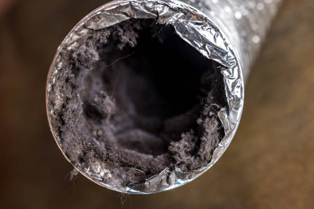 Best Emergency Air Duct Cleaning  in Mililani Mauka, HI