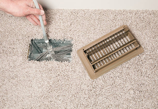 Best Air Duct Mold Removal  in Mililani Mauka, HI