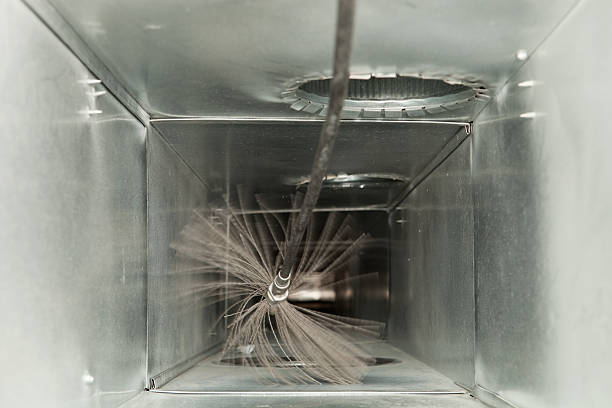 Best Dryer Vent Cleaning Services  in Mililani Mauka, HI