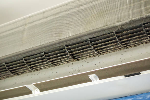 Best Home Air Vent Cleaning  in Mililani Mauka, HI