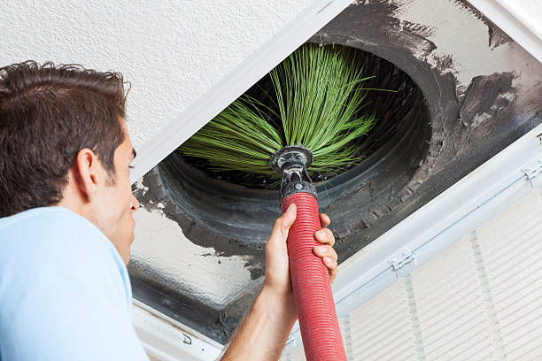 Best Affordable Air Duct Cleaning  in Mililani Mauka, HI