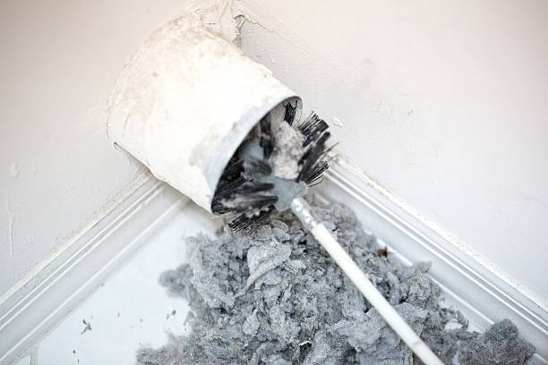 Best HVAC System Cleaning  in Mililani Mauka, HI