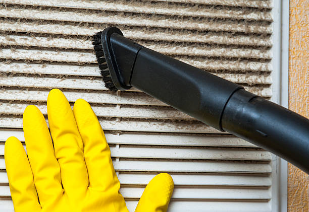 Best Air Vent Cleaning Services  in Mililani Mauka, HI
